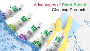 Plant Based Cleaning products